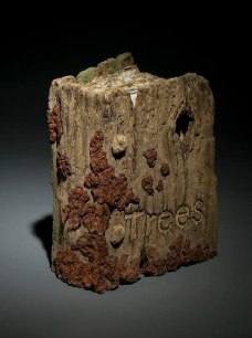 Book of Trees