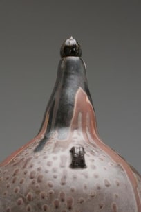 Volcanic Gourd