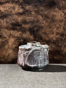 Fire Salamander Vase