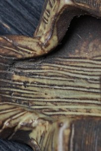 Reticulated Serpent