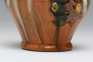 Flowering Bulb