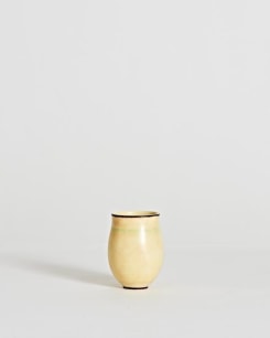 Elegant Vase