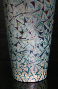 Diatom Colony
