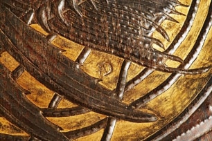Fish Fossil