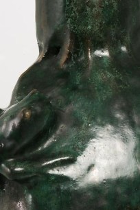 Frog Swarm C0255