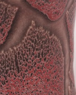 Sea Fan Vase