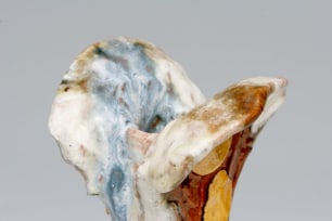 Flowering Bulb