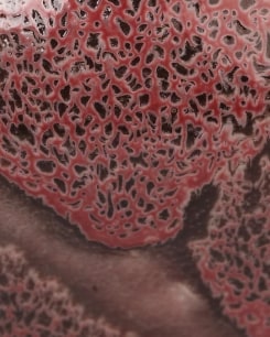 Sea Fan Vase
