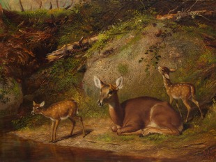 Doe and Two Fawns, 1882