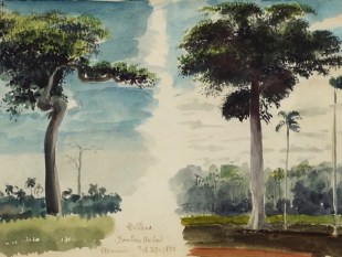 Charles DeWolf Brownell  (1822 - 1909) Ceibus (Trop. Trees & Plants) 1859 Watercolor on Paper H 5.25” x W 8.5” Titled, Inscribed and Dated Bottom Center Edge Price Upon Request