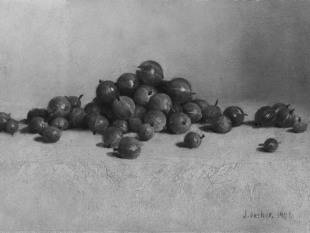 Gooseberries, 1896