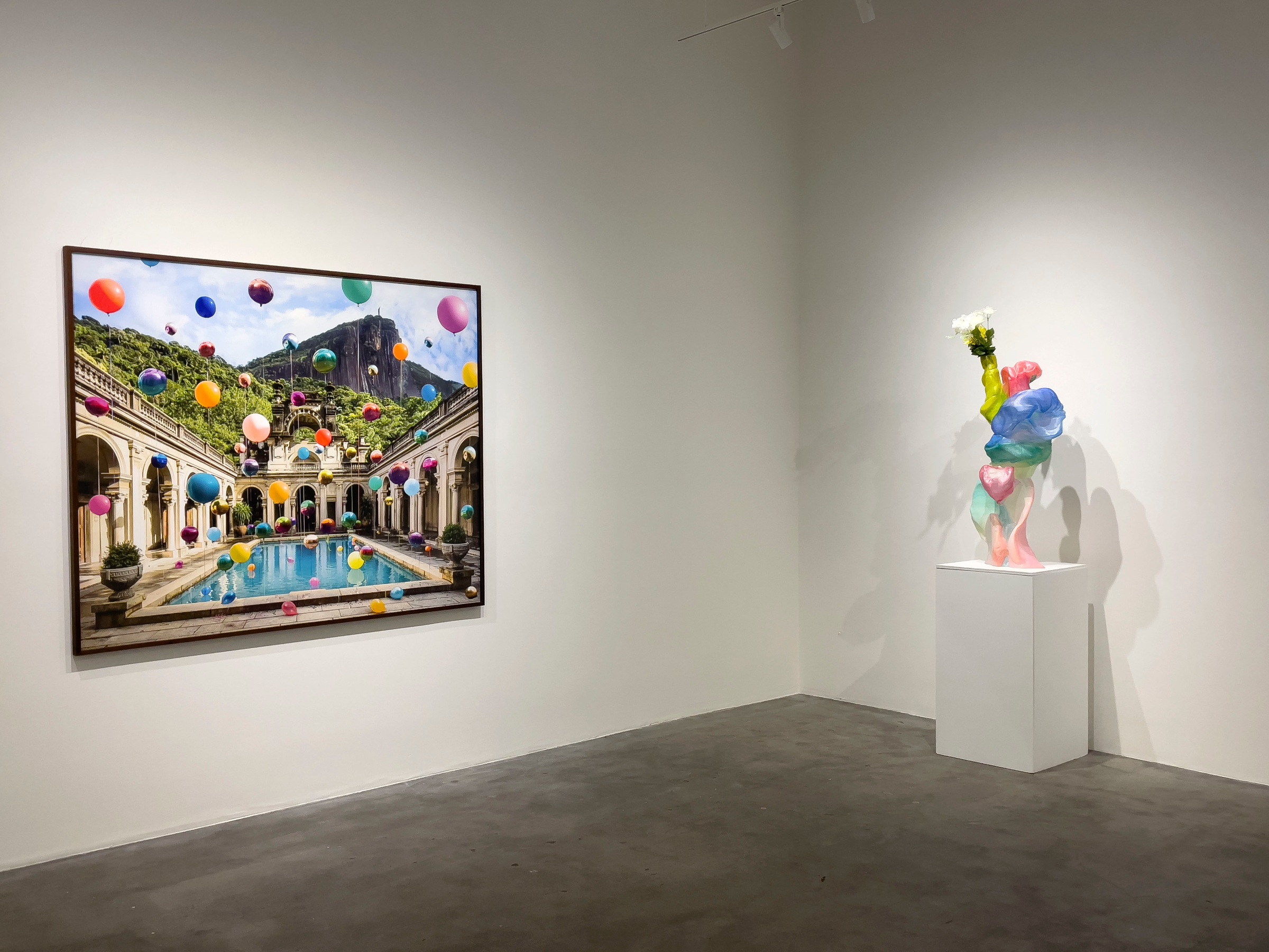 Installation Views