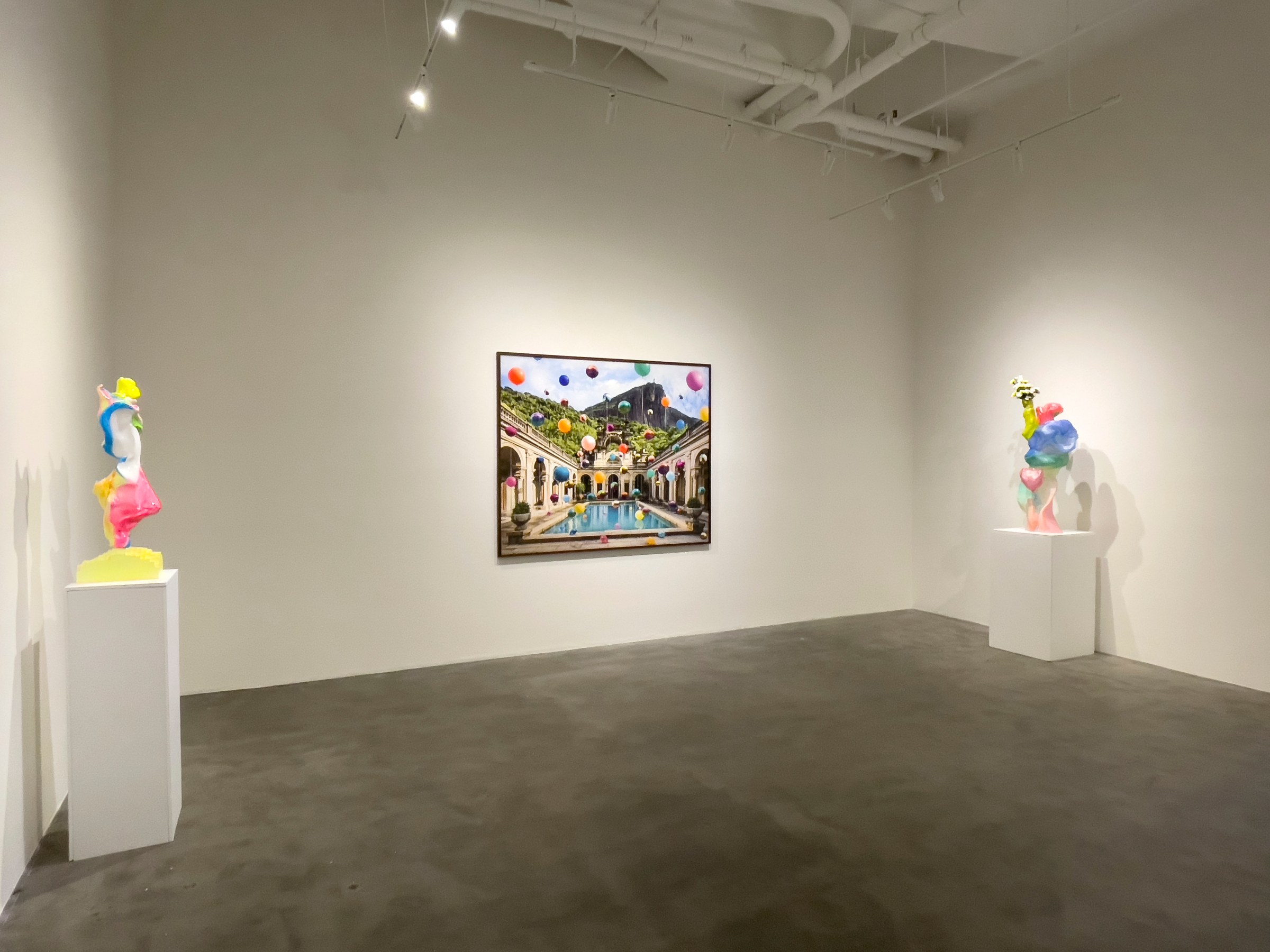 Installation Views