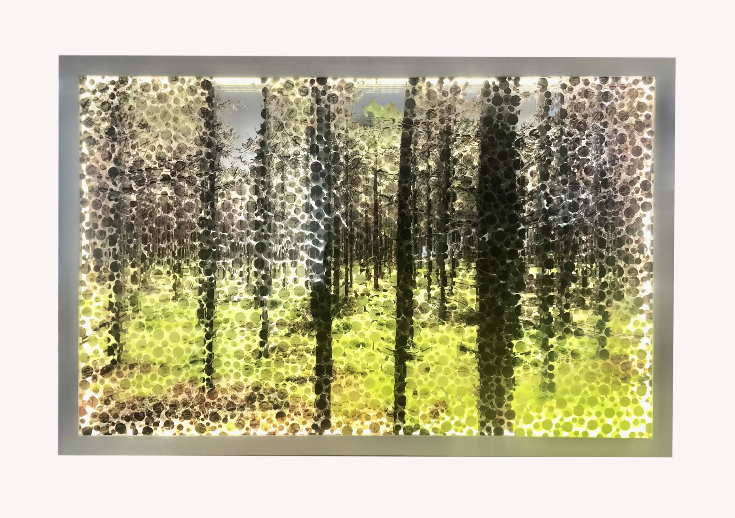 Into the Mood,, Digital print on acrylic glass, LED, dimmer,