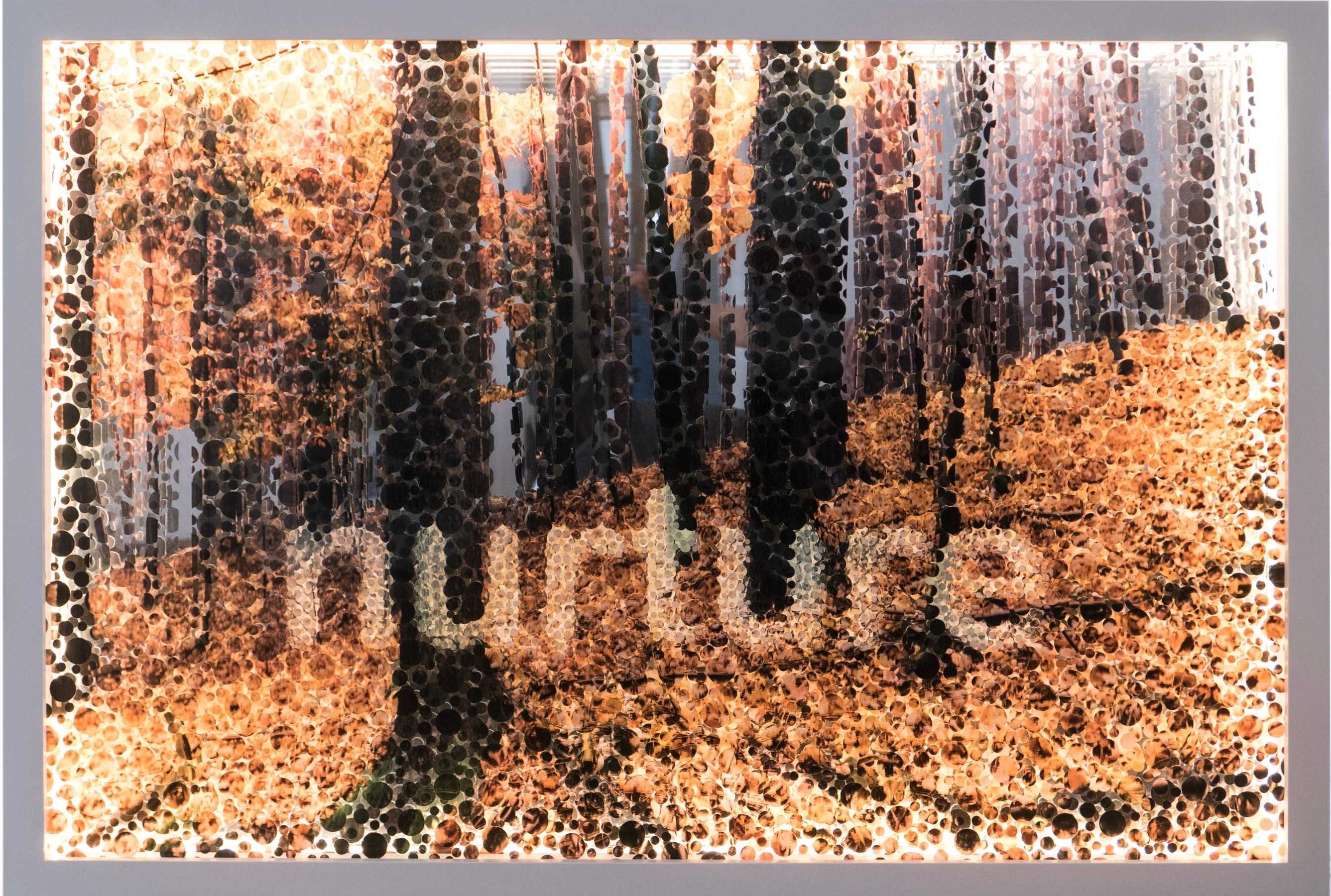 Nurture,, Digital print on acrylic glass, LED,