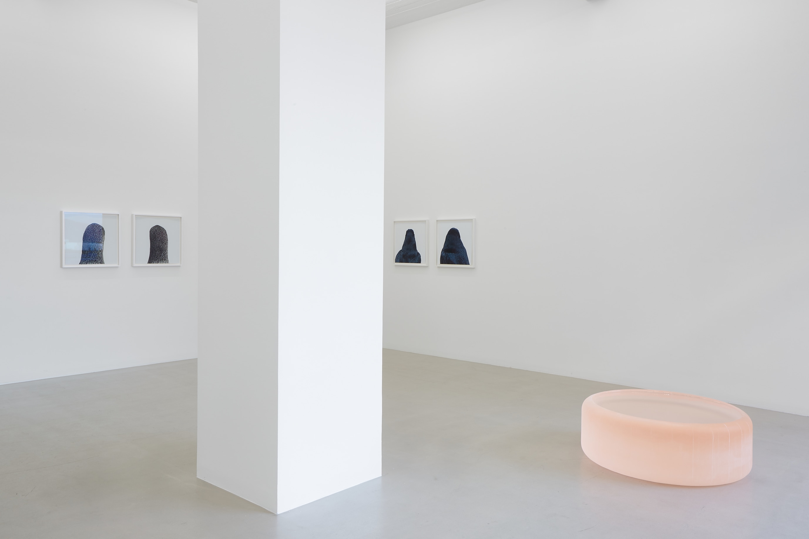 Roni Horn, Installation view, 2020, Courtesy of the artist and i8 Gallery, Reykjav&iacute;k