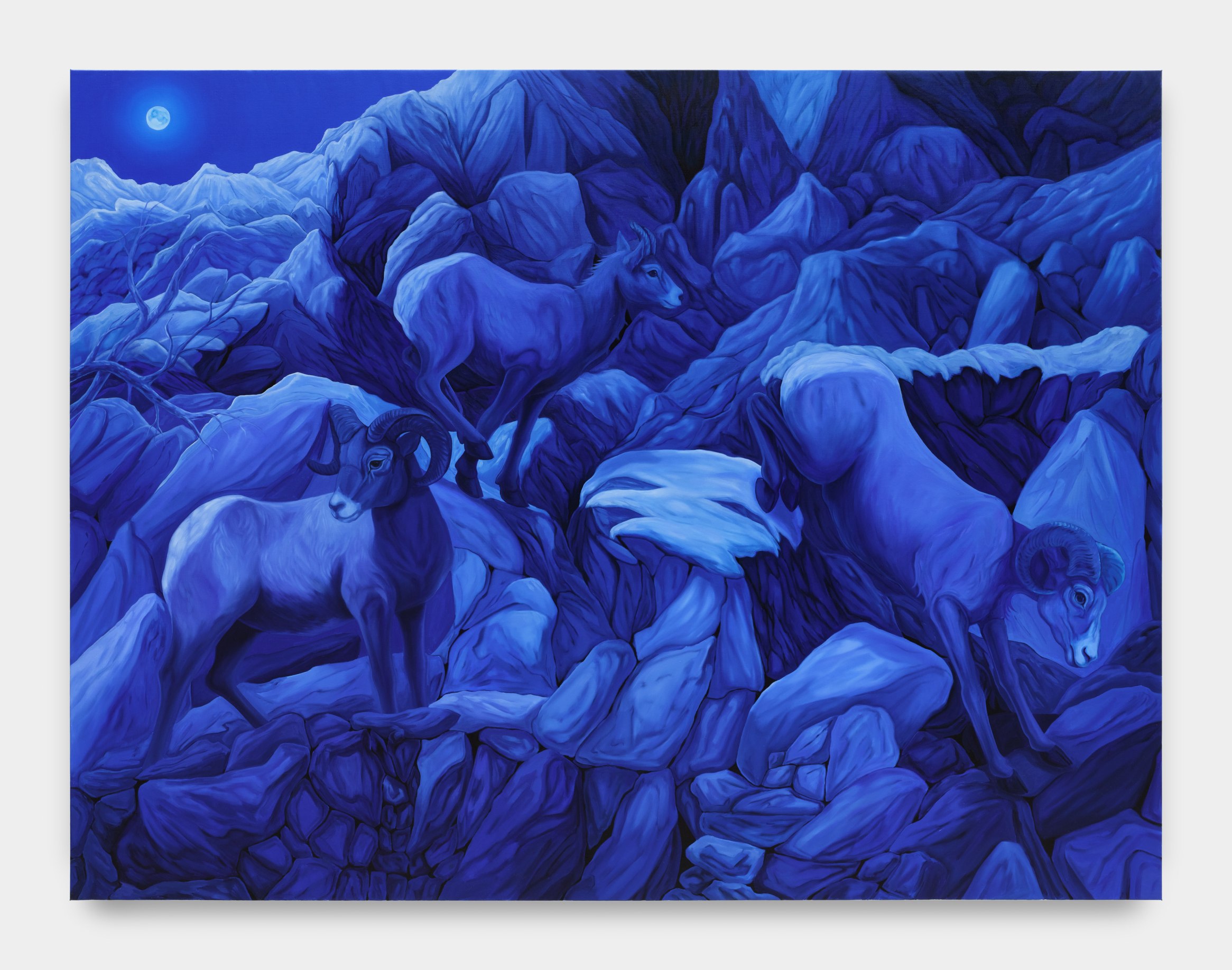 Bambou Gili, Moonlit Bighorn Sheep, 2024, courtesy of Night Gallery