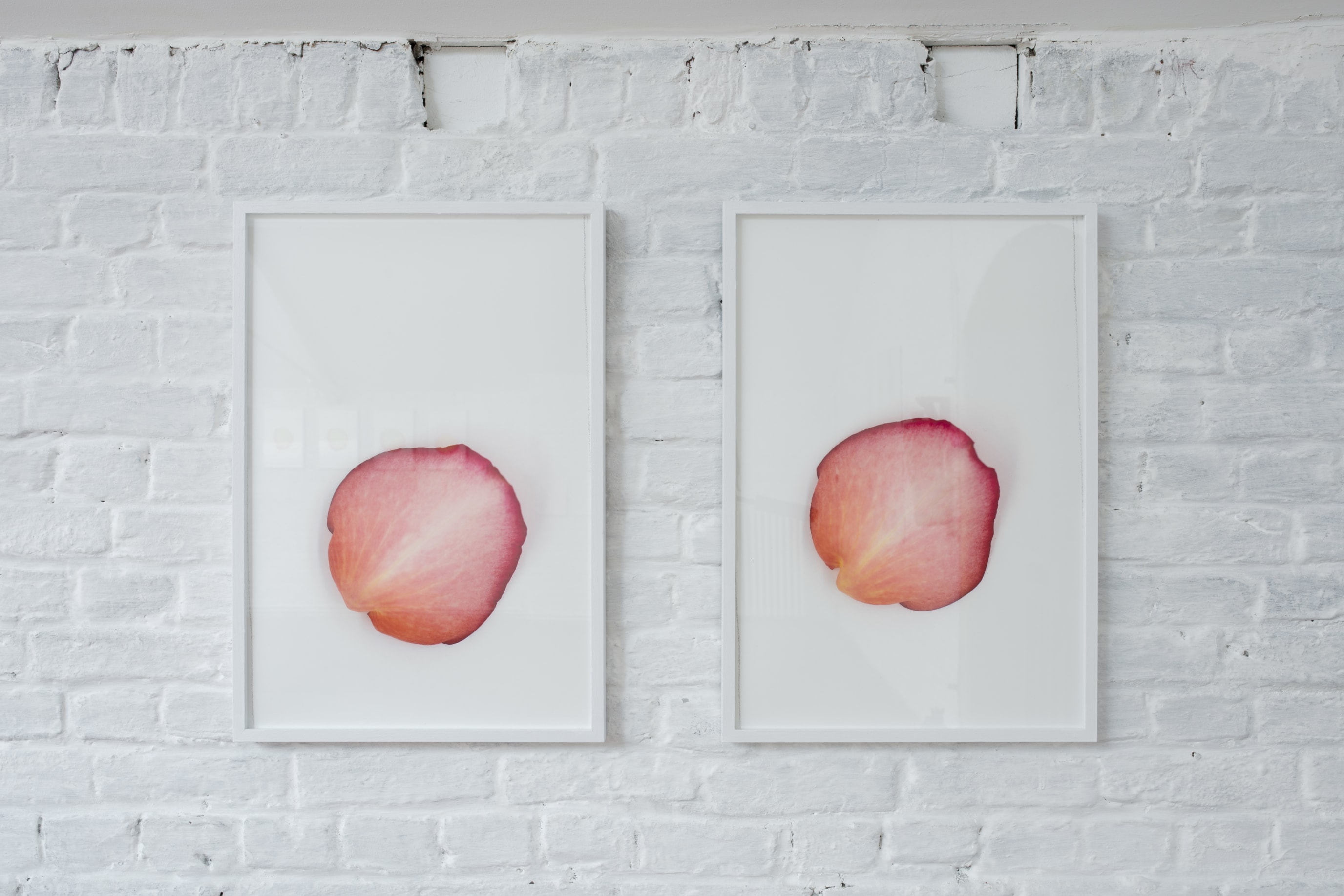 Sarah Meyohas at Independent R&eacute;gence 2017.&nbsp;Photo: Isabelle Arthuis