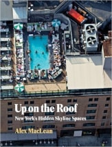 Up on the Roof: New York's Hidden Skyline