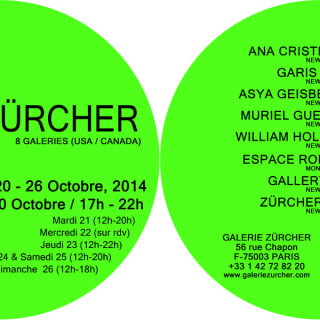 Salon Zurcher- Fiac Paris, France