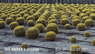 THE BAKER'S DOZEN