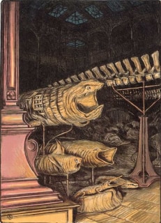 J&uuml;rg Kreienb&uuml;hl Grande galerie avec requins 1984 Mus&eacute;um d'histoire naturelle lithograph lithographie