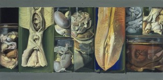 St&eacute;phane Belz&egrave;re Bocaux anatomiques n&deg;24 peinture painting