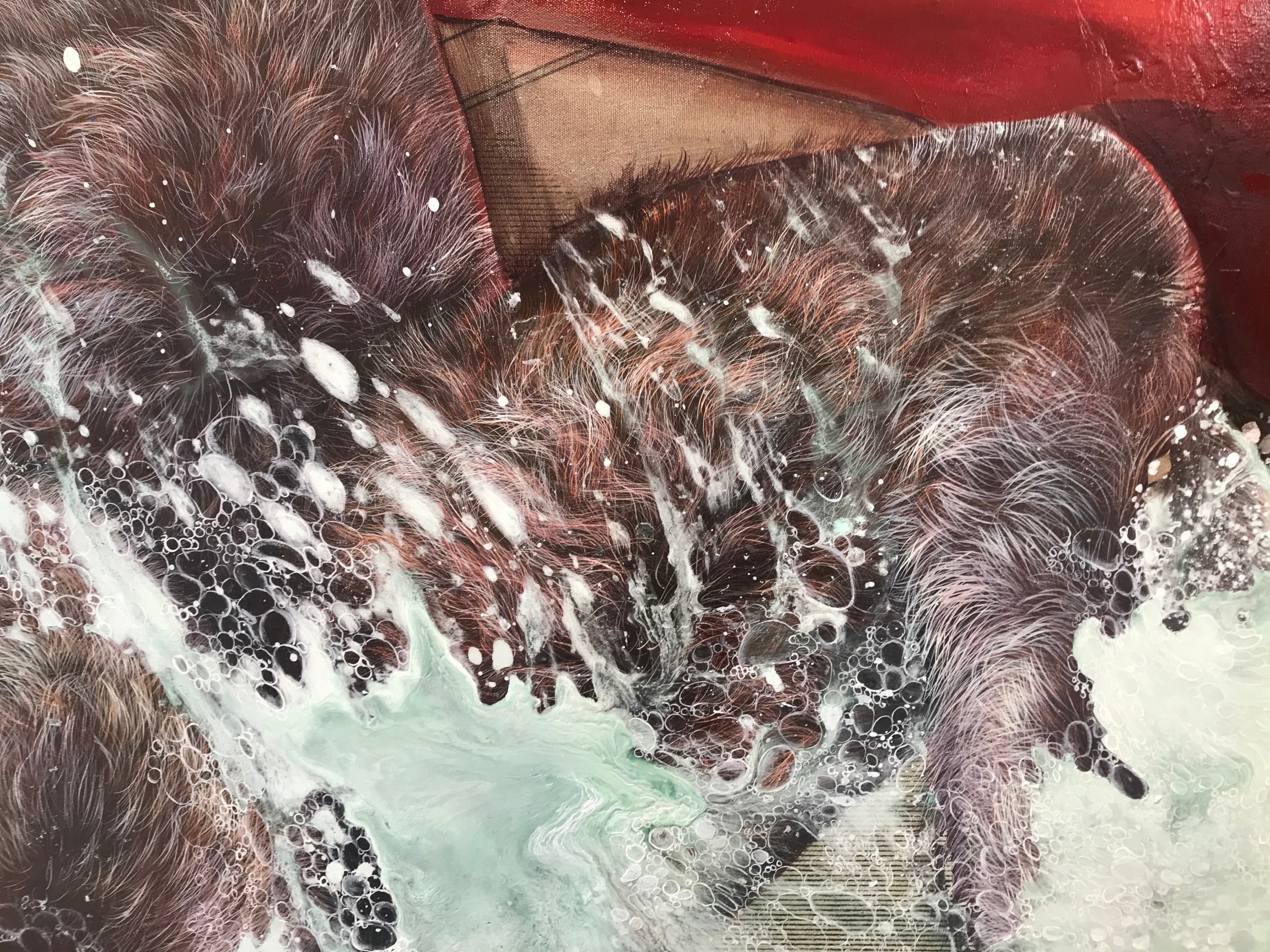 amorphous furry body emerging from water