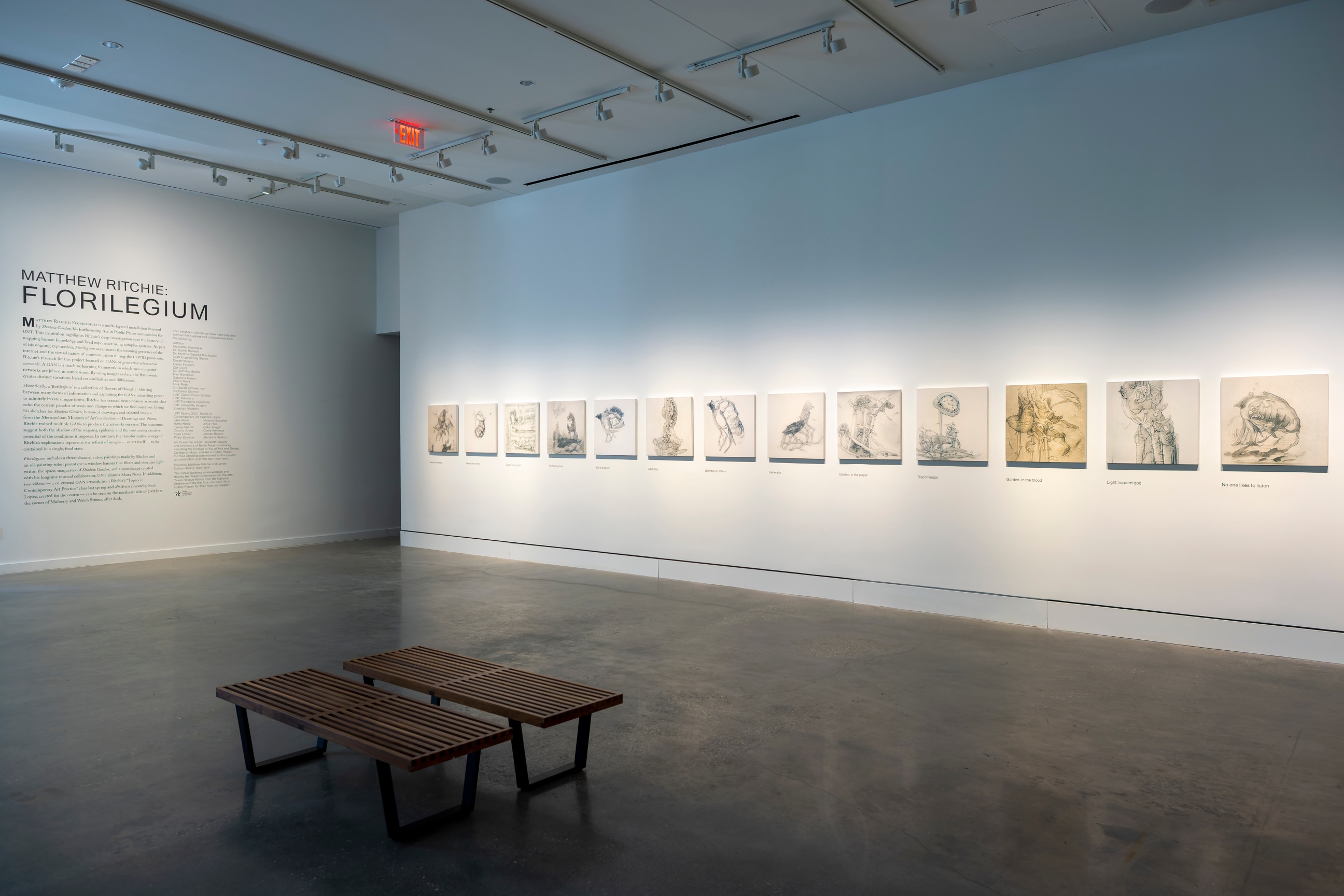 Installation view, Matthew Ritchie: Florilegium, CVAD Gallery, University of North Texas, Denton, TX, September 8 - December 10, 2021