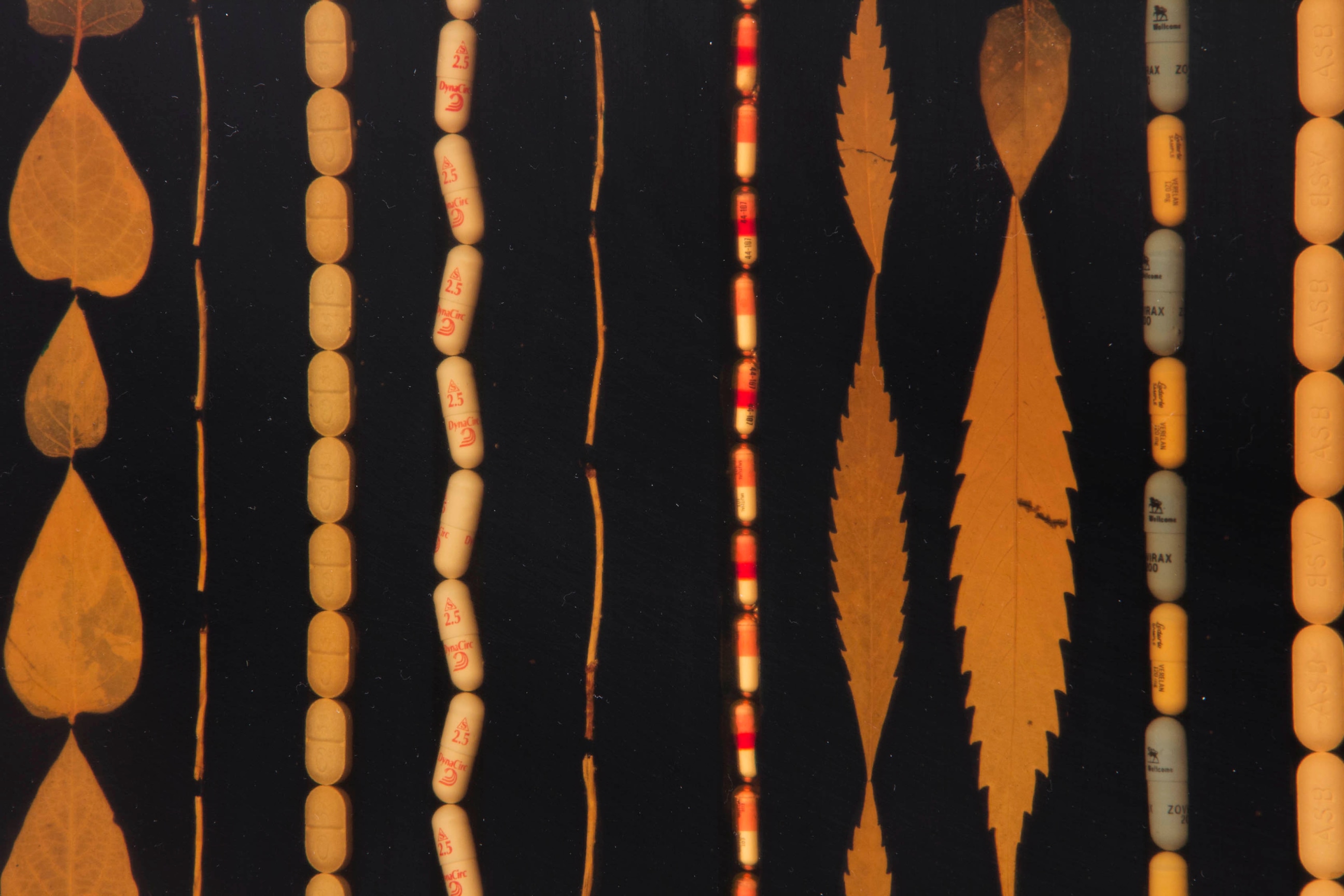 Detail of FRED TOMASELLI's Untitled (Rug),&nbsp;1995