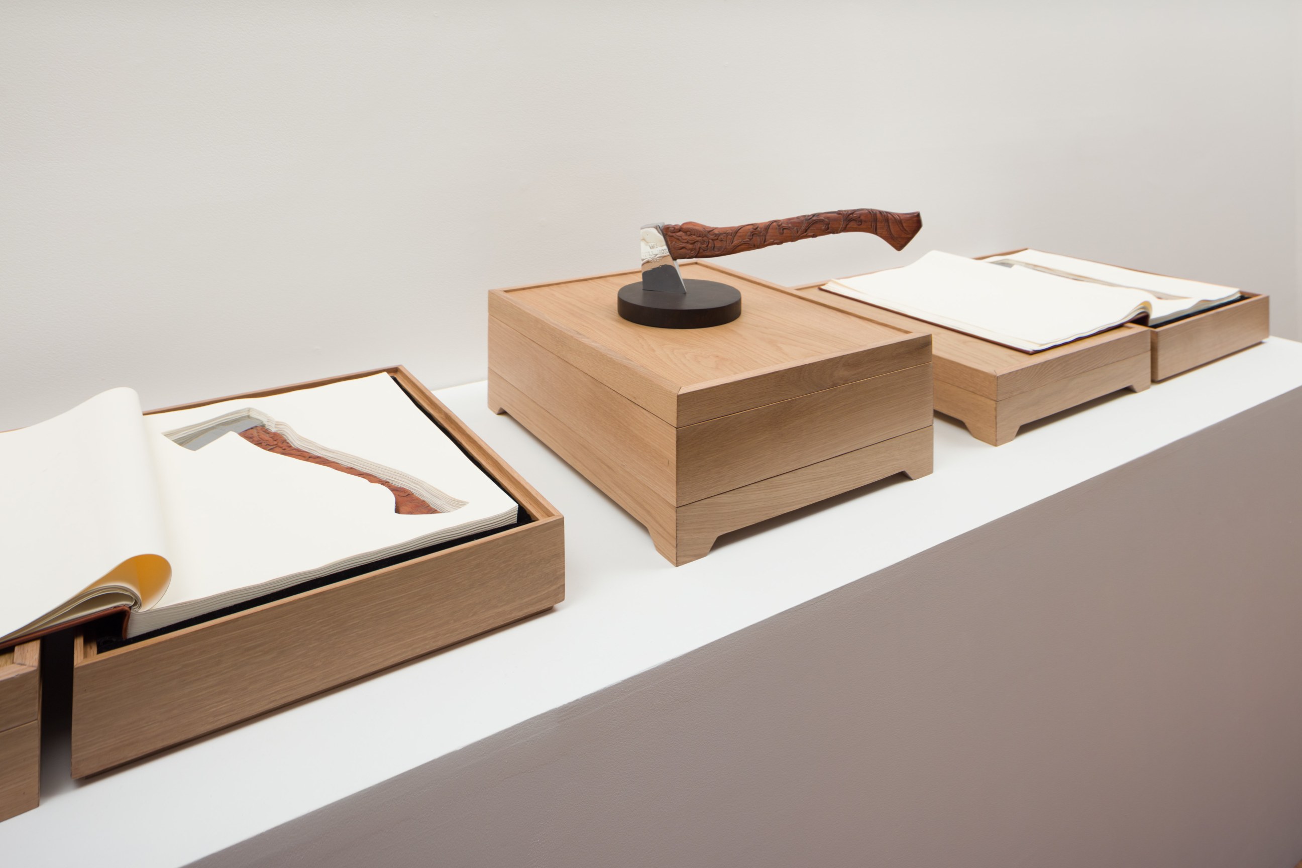 image of THE PROPELLER GROUP's The Axe Fight, 2013 - 2018