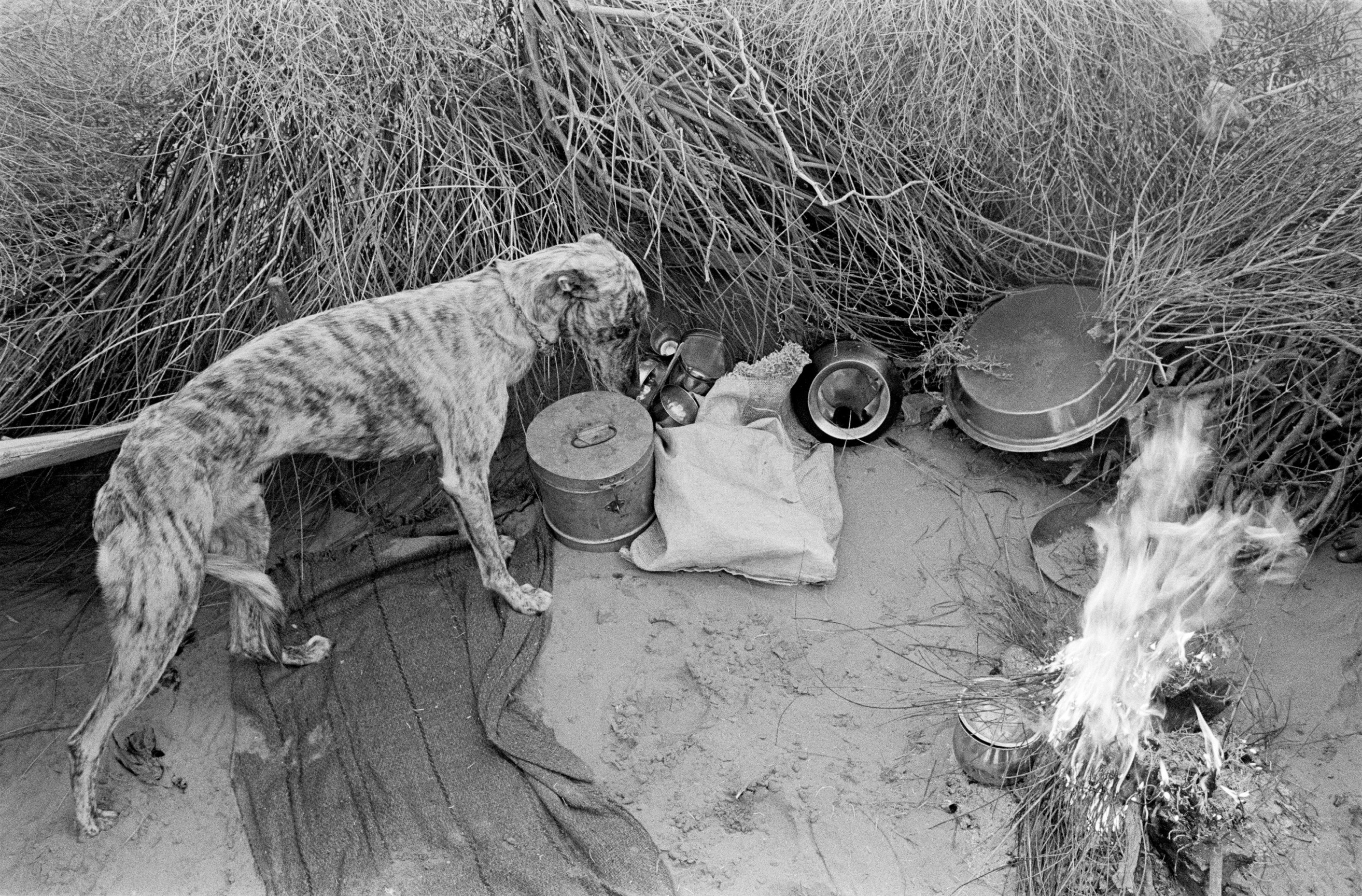 Silver gelatin print in black and white