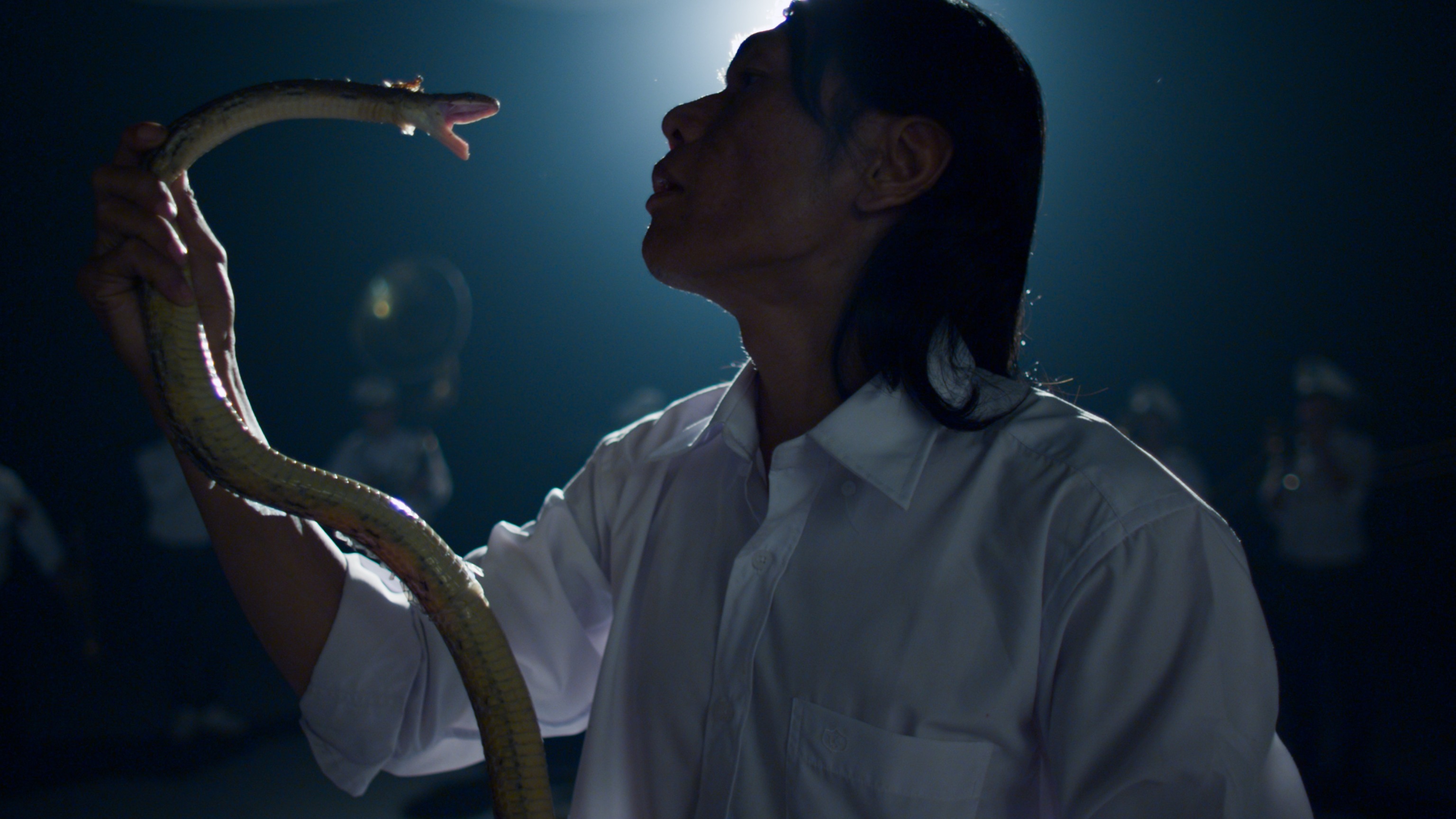 image of THE PROPELLER GROUP's The Living Need Light, The Dead Need Music&nbsp;(still), 2014