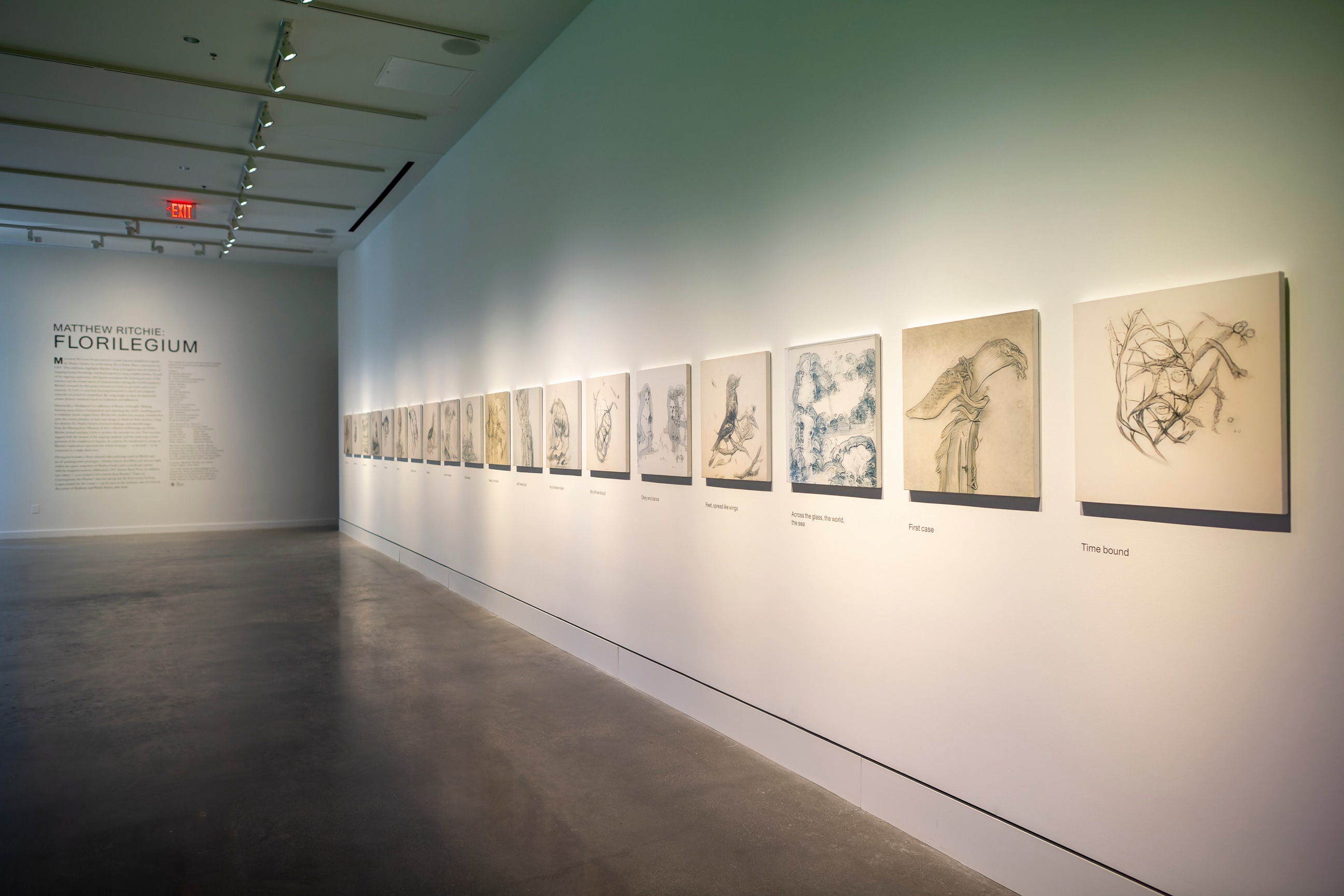 Installation view, Matthew Ritchie: Florilegium, CVAD Gallery, University of North Texas, Denton, TX, September 8 - December 10, 2021