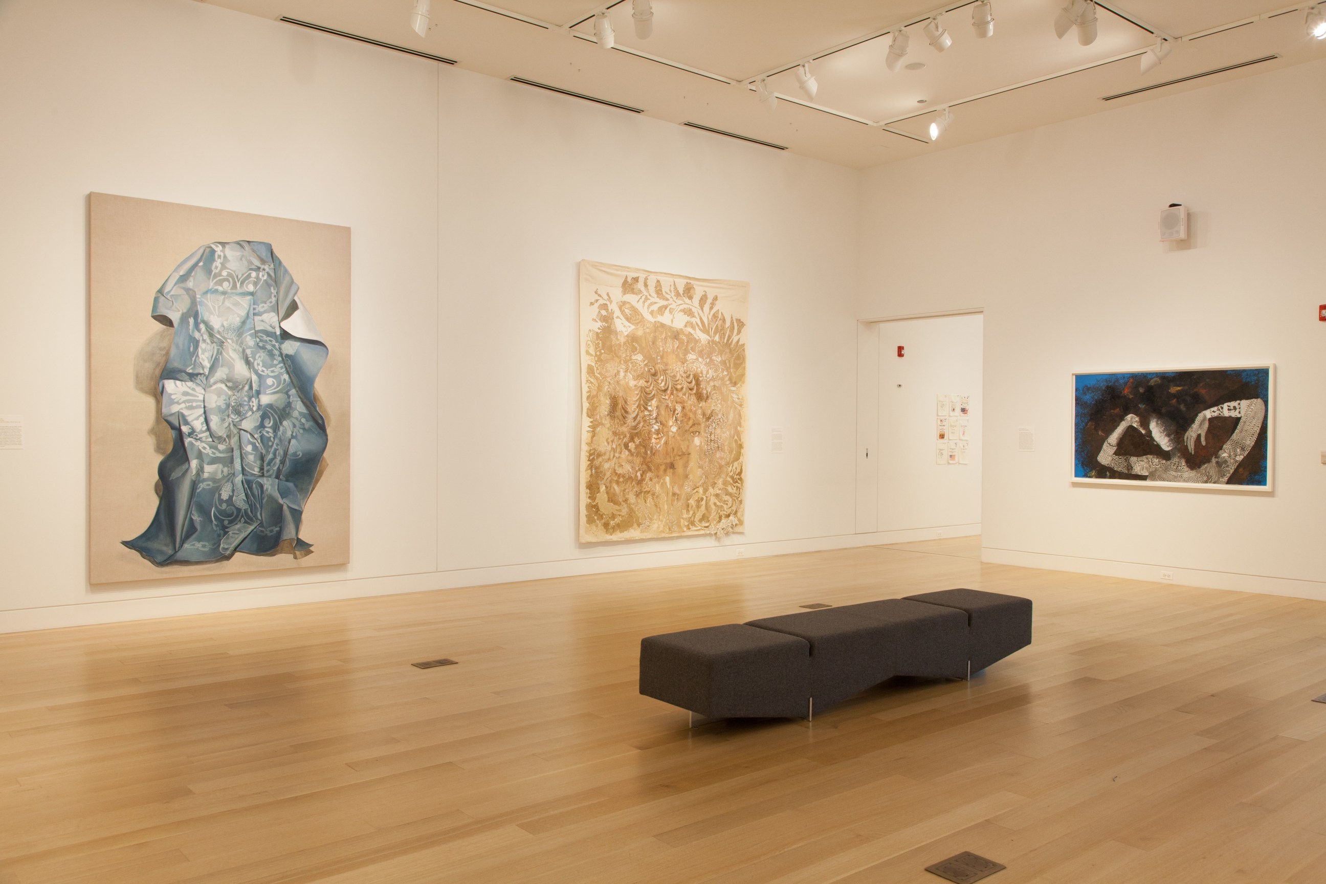 FIRELEI B&Aacute;EZ, Installation view:&nbsp;Vessels of Genealogies,&nbsp;DePaul Art Museum, April 27 &ndash; August 6, 2017