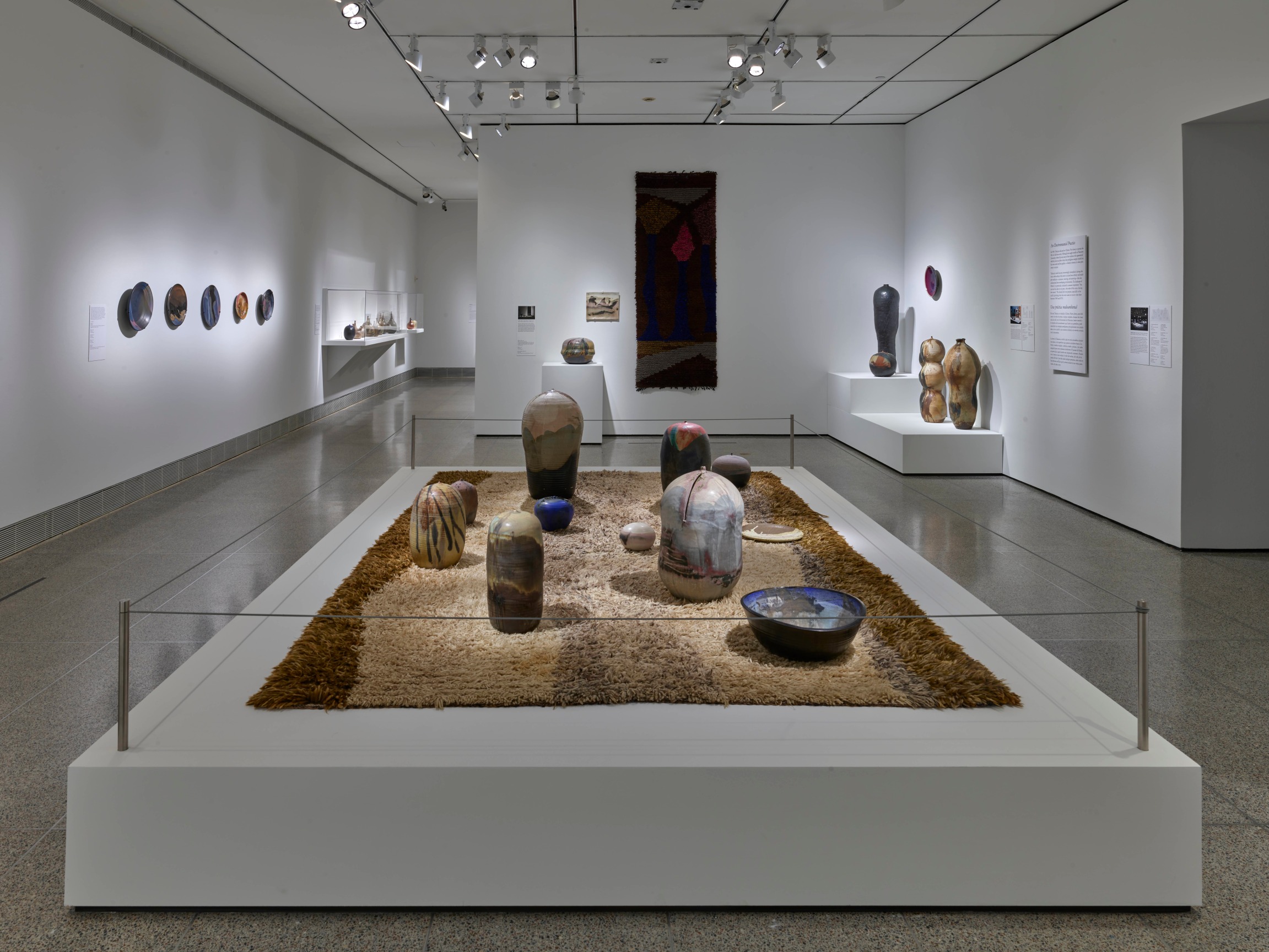 Toshiko show installation