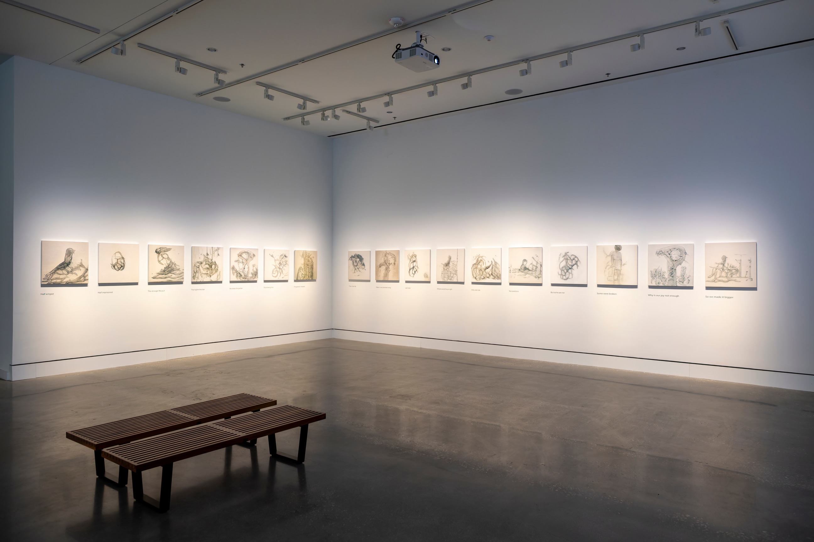 Installation view, Matthew Ritchie: Florilegium, CVAD Gallery, University of North Texas, Denton, TX, September 8 - December 10, 2021