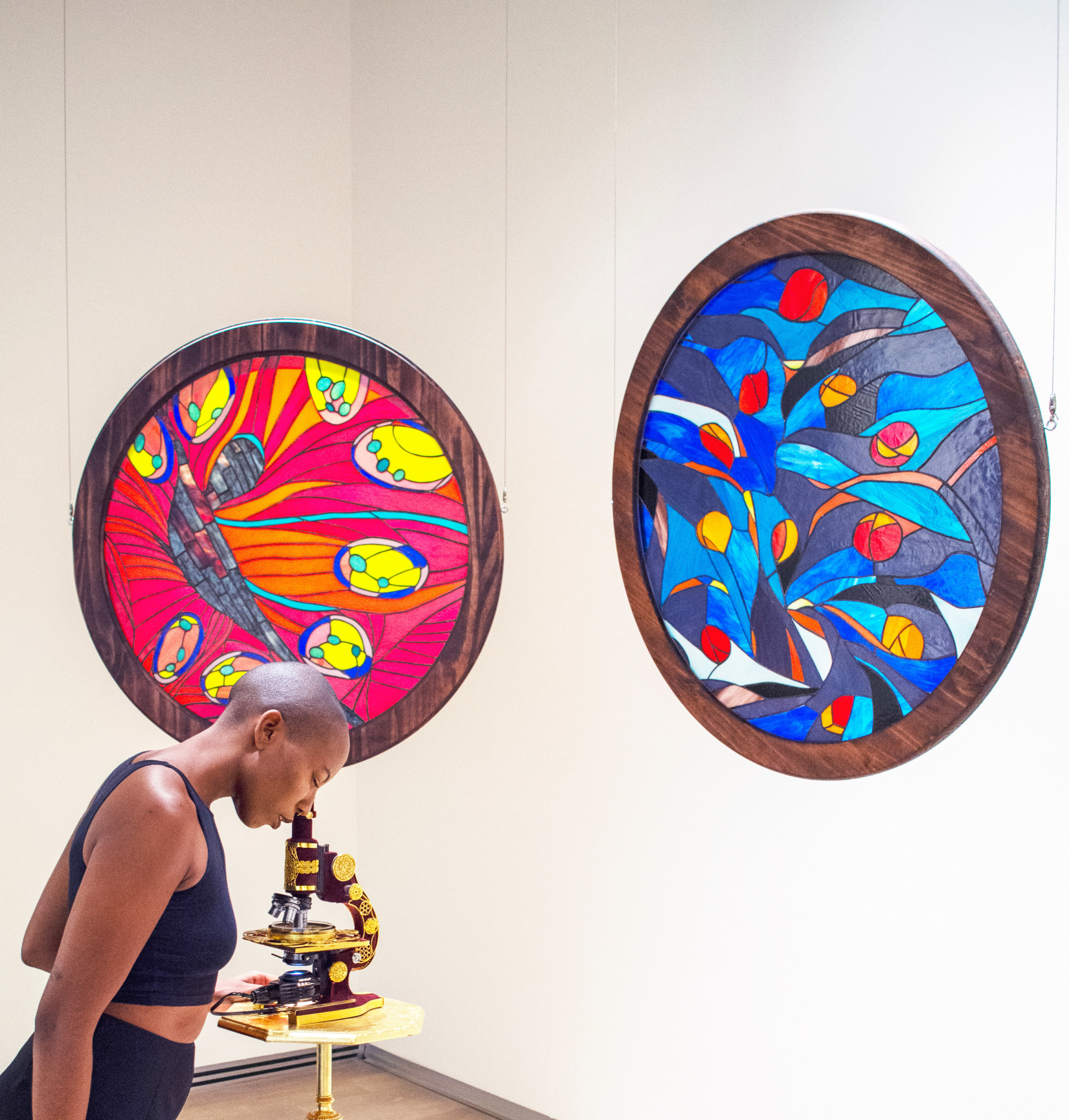 Image of installation view of Christopher Myers's Fourth Class Relic: A Chapel for Henrietta Lacks, 2018