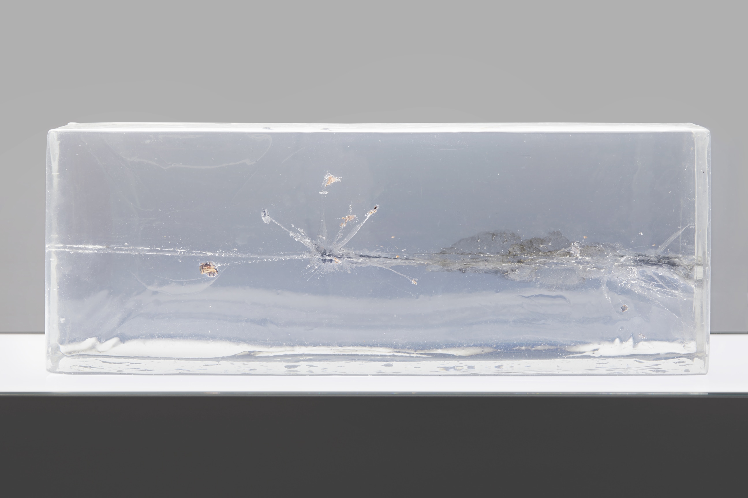 ballistic gel with bullet fragments