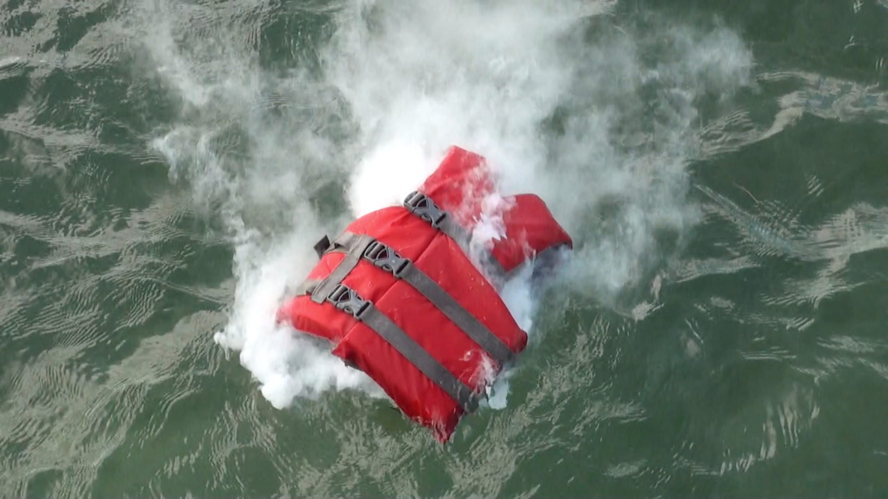 LOS JAICHACKERS (Eamon Ore-Giron &amp;amp; Julio C&eacute;sar Morales), Night Shade/Solanaceae&nbsp;(still), 2013