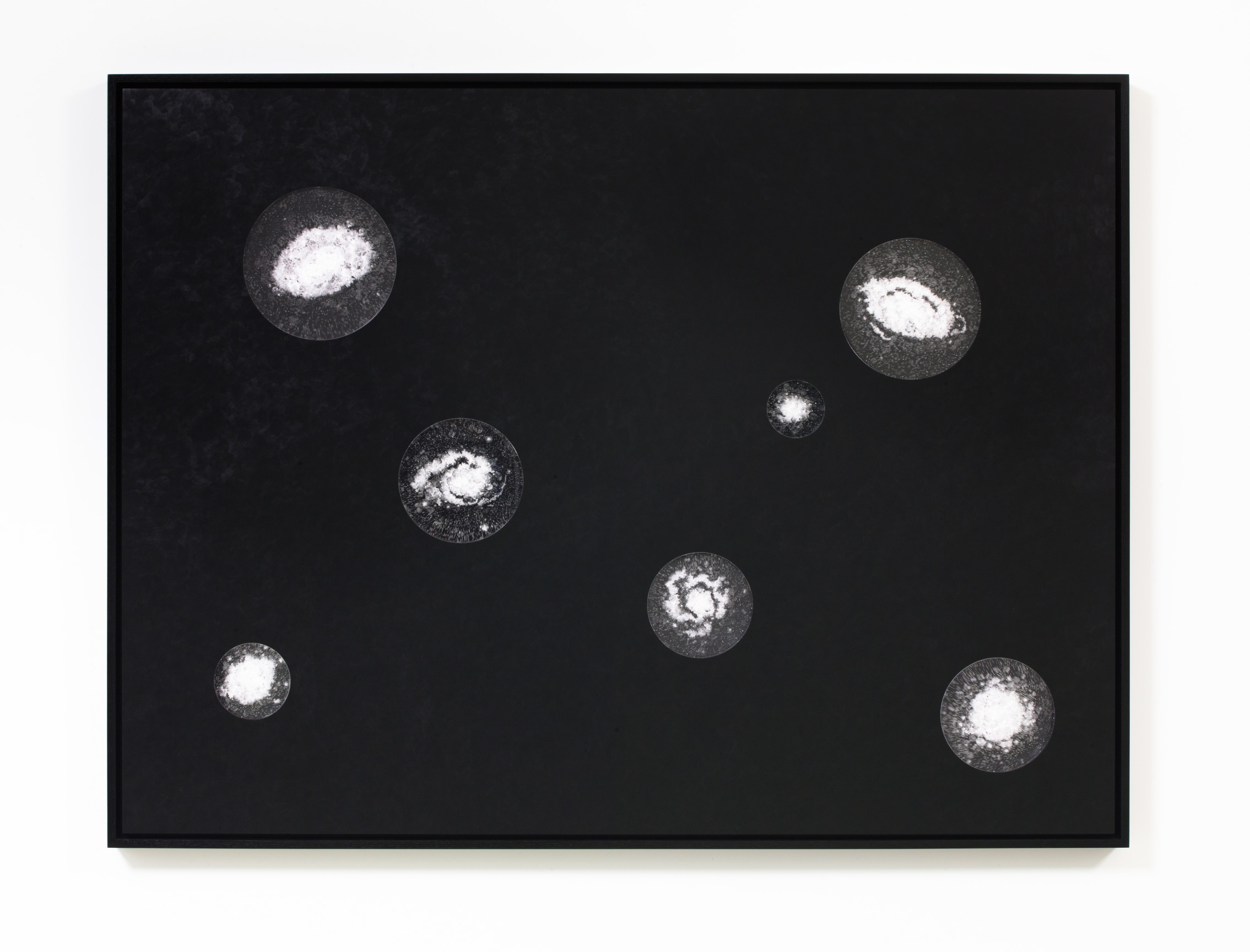 Seven Observations for June Tyson, 2019