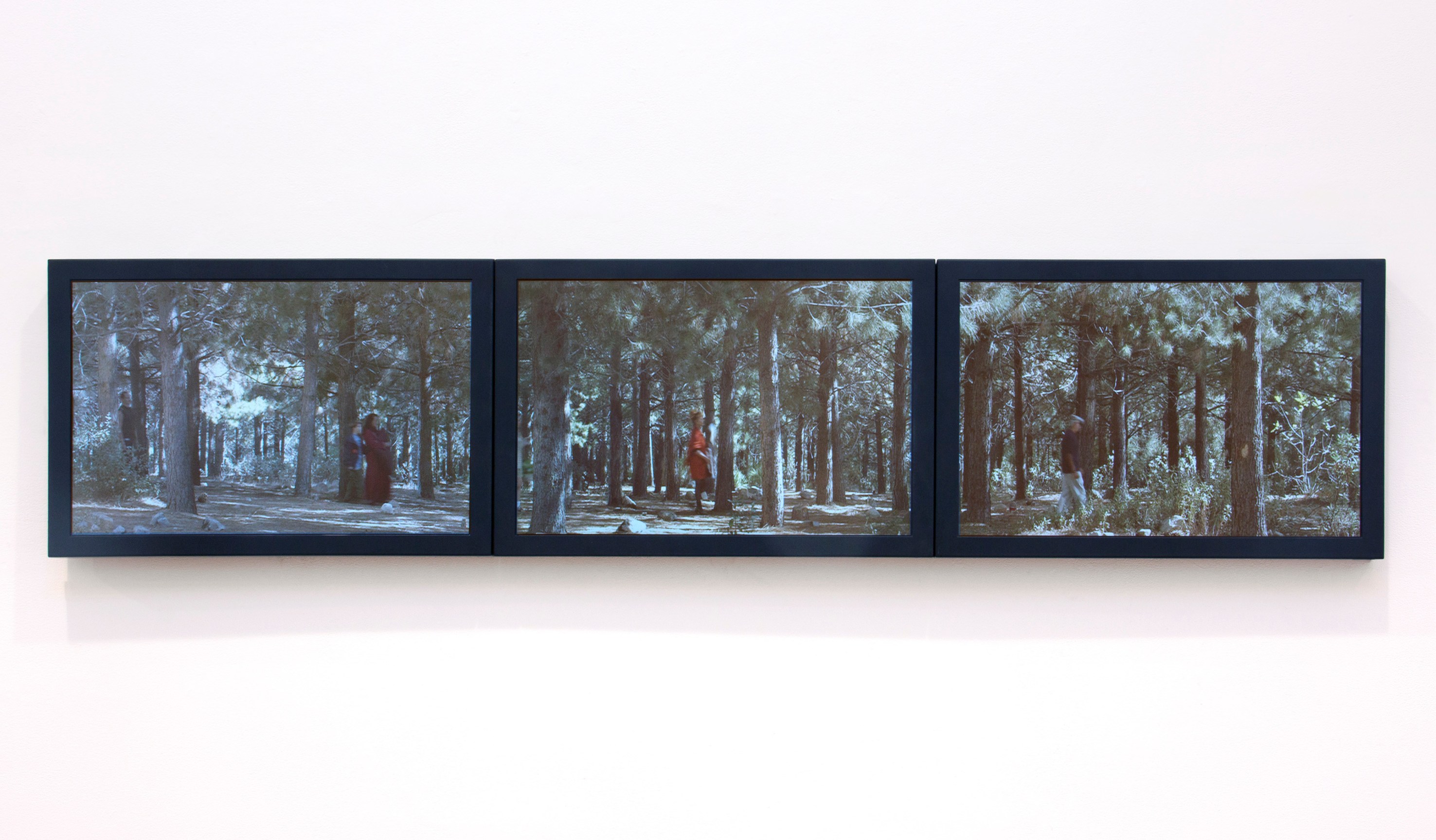 BILL VIOLA Study for the Path