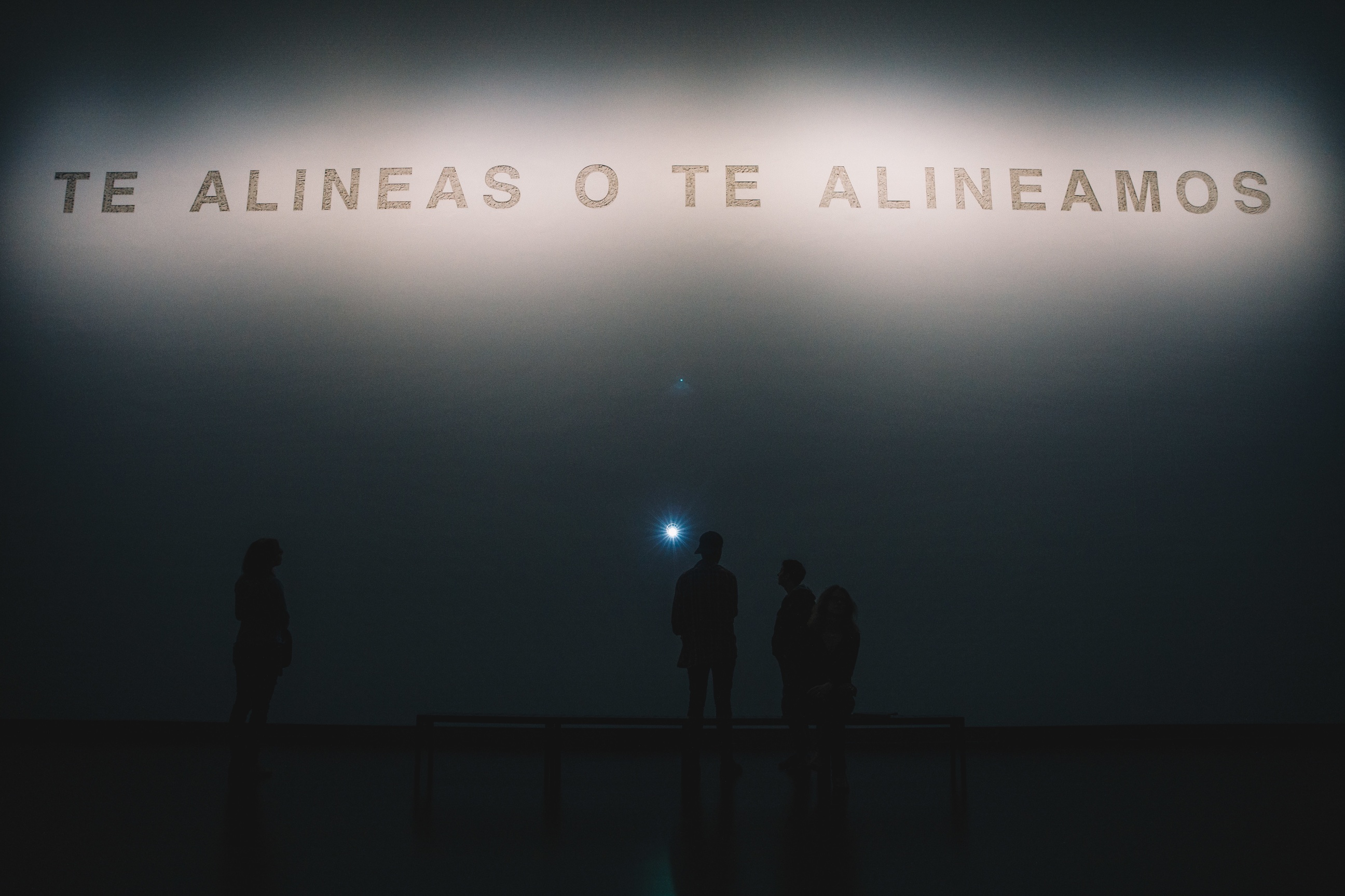 TERESA MARGOLLES, Te alineas o te alineamos, 2019