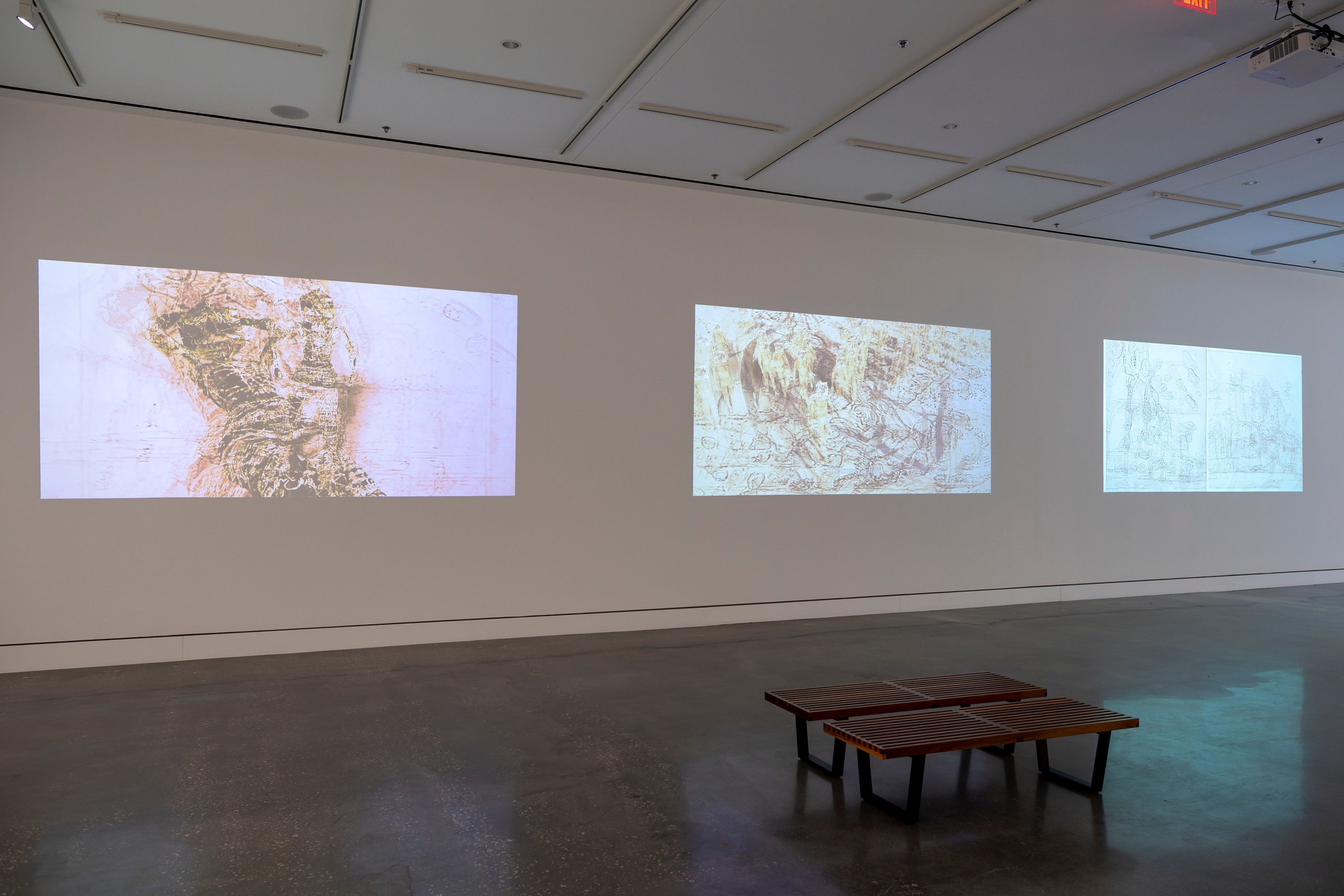 Installation view, Matthew Ritchie: Florilegium, CVAD Gallery, University of North Texas, Denton, TX, September 8 - December 10, 2021