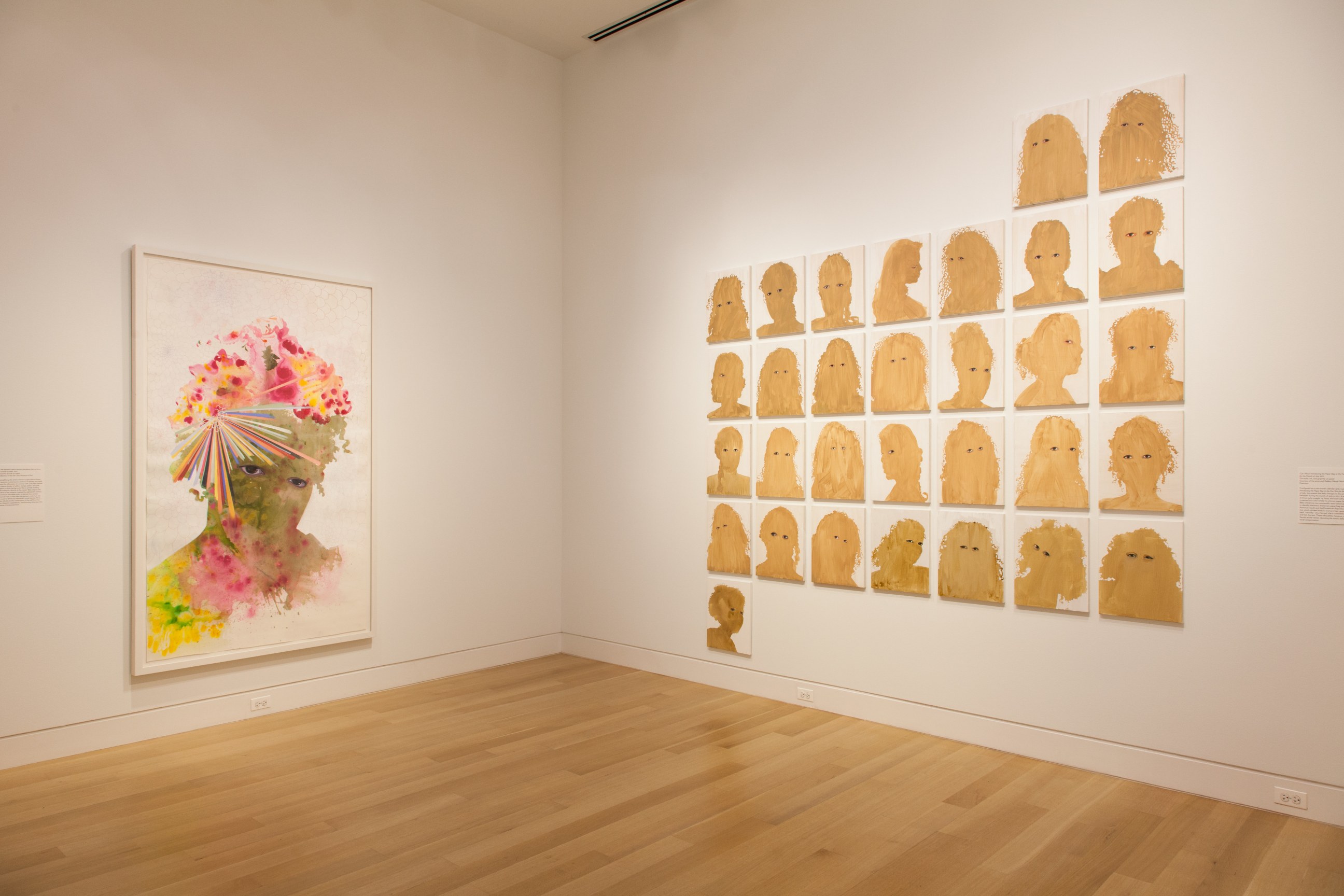 FIRELEI B&Aacute;EZ, Installation view:&nbsp;Vessels of Genealogies,&nbsp;DePaul Art Museum, April 27 &ndash; August 6, 2017