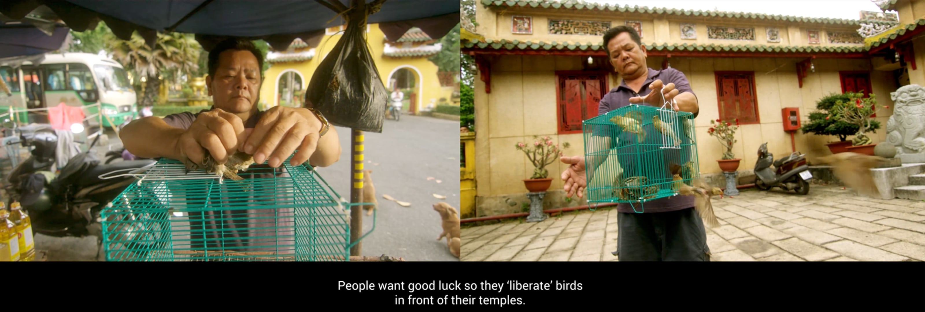 Screengrab of the two-channel video installation, featuring a a man holding a bird cage.