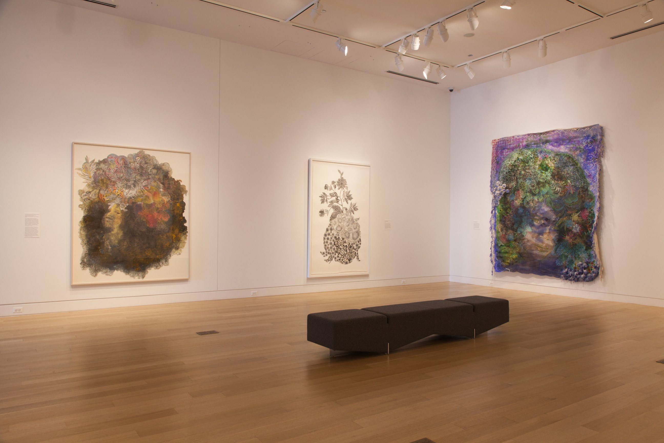 FIRELEI B&Aacute;EZ, Installation view:&nbsp;Vessels of Genealogies,&nbsp;DePaul Art Museum, April 27 &ndash; August 6, 2017