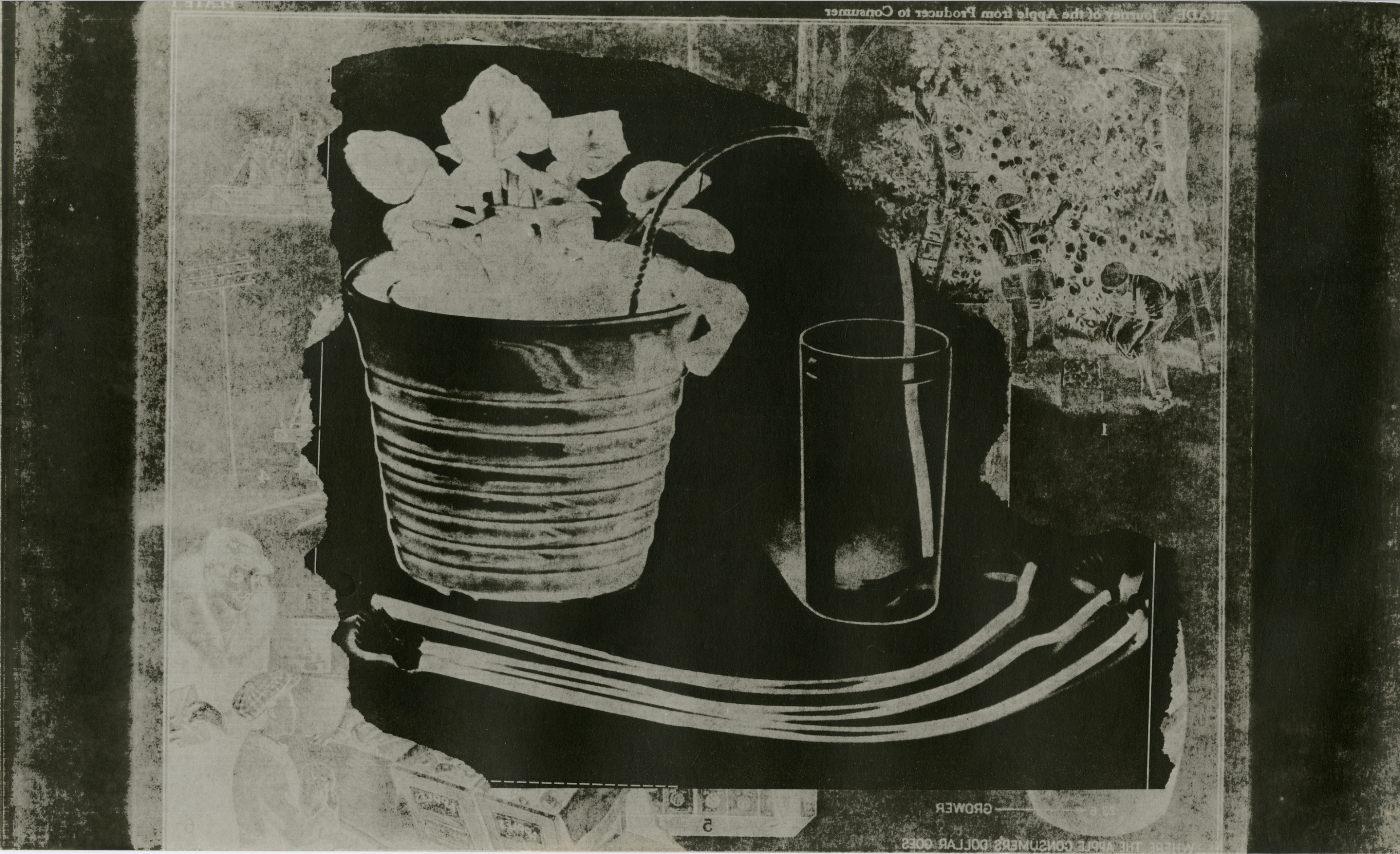 Untitled, 1973, from the series Trivia 2, Verifax matrix print