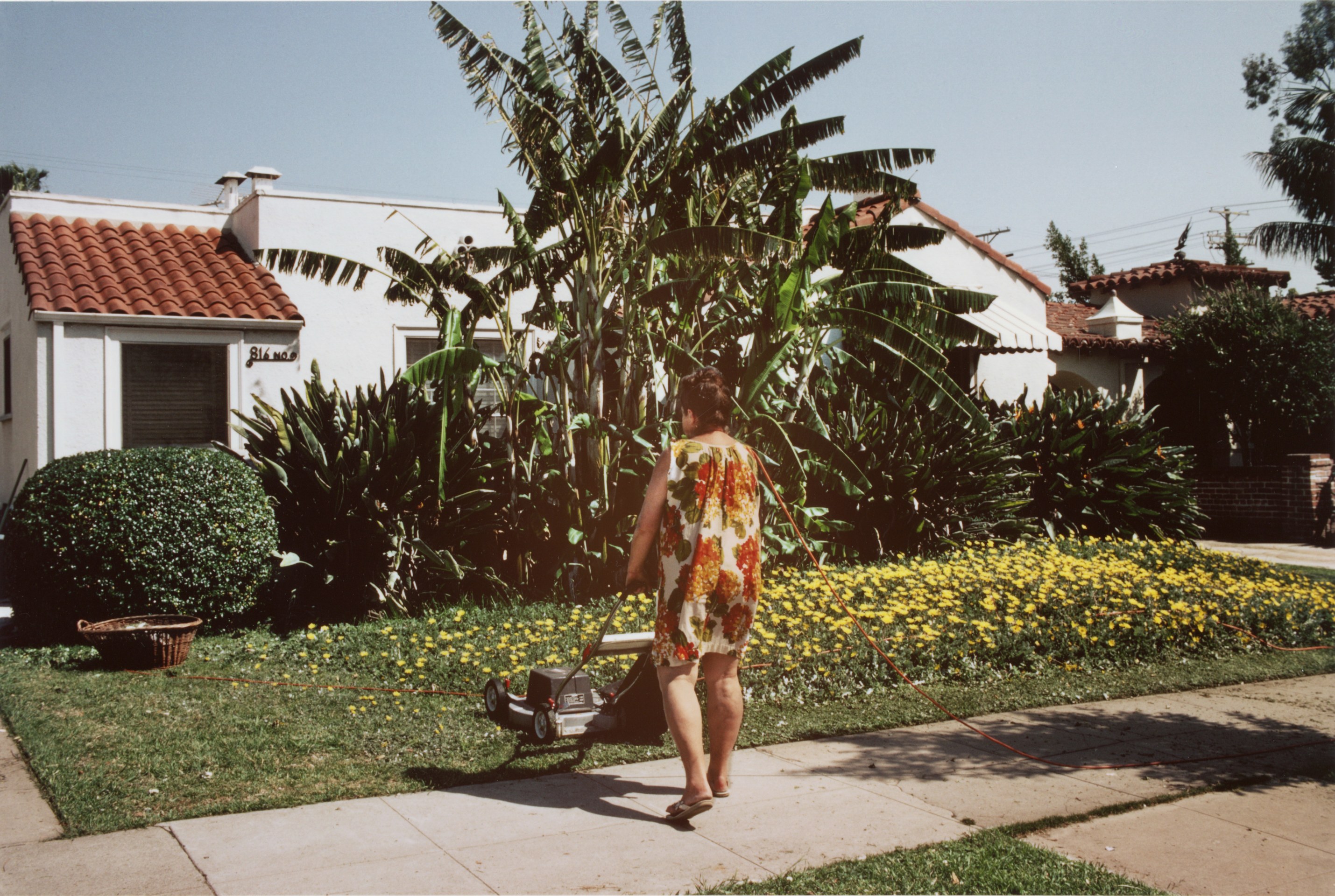 Victor Landweber, untitled