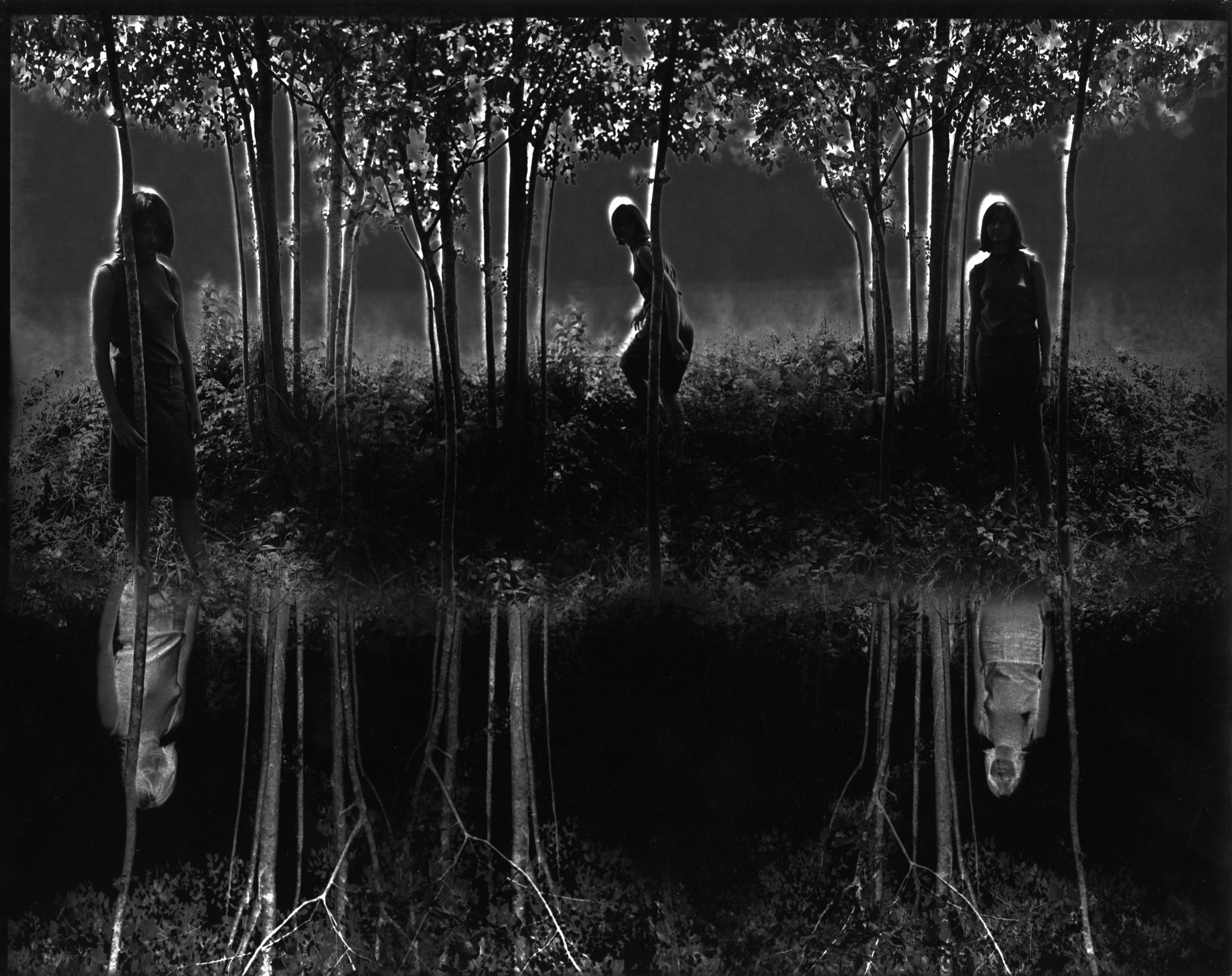 Small Woods Where I Met Myself, 1967